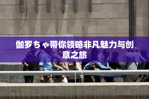 伽罗ちゃ带你领略非凡魅力与创意之旅