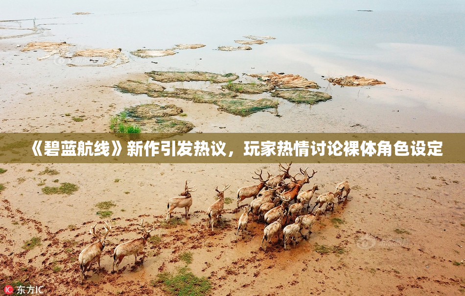 《碧蓝航线》新作引发热议，玩家热情讨论裸体角色设定