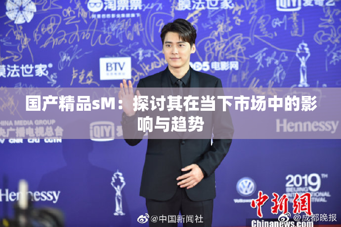 国产精品sM：探讨其在当下市场中的影响与趋势