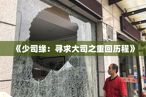 《少司缘：寻求大司之重回历程》