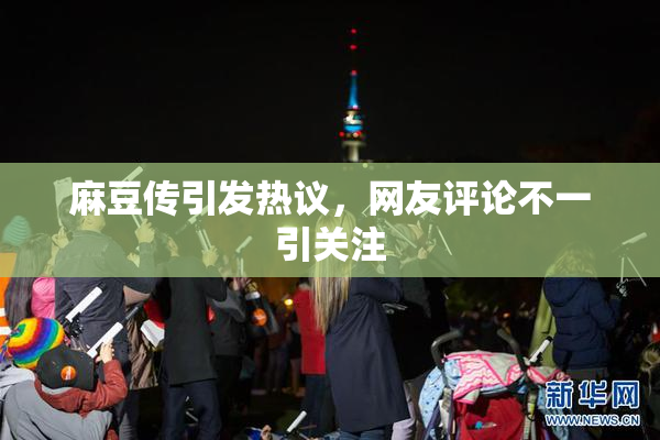 麻豆传引发热议，网友评论不一引关注