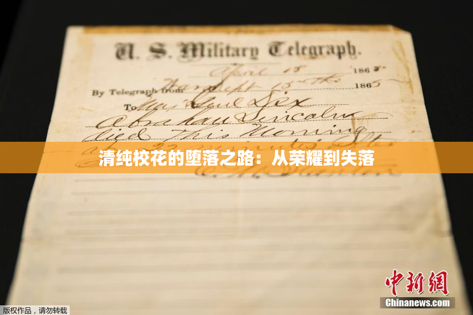 清纯校花的堕落之路：从荣耀到失落