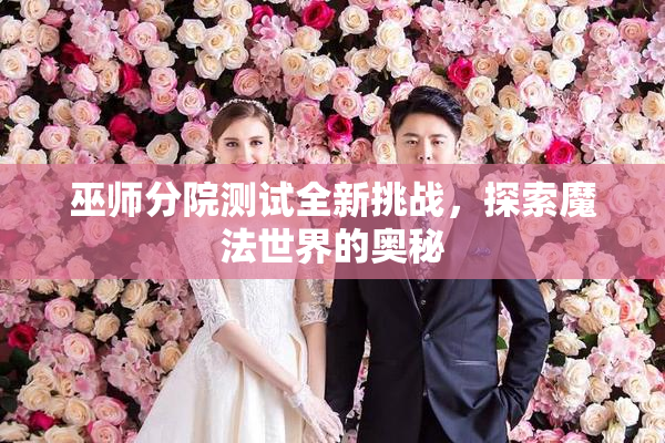 巫师分院测试全新挑战，探索魔法世界的奥秘
