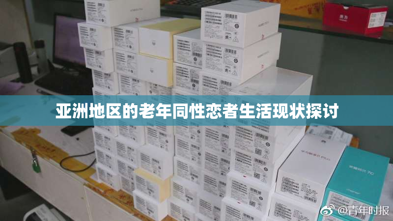 亚洲地区的老年同性恋者生活现状探讨