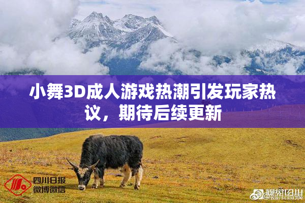 小舞3D成人游戏热潮引发玩家热议，期待后续更新