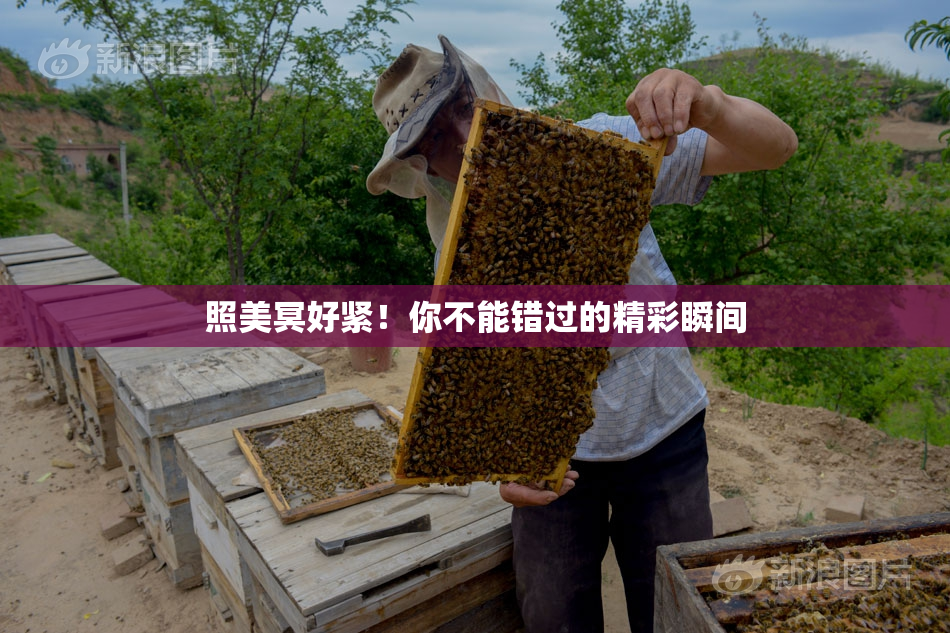 照美冥好紧！你不能错过的精彩瞬间