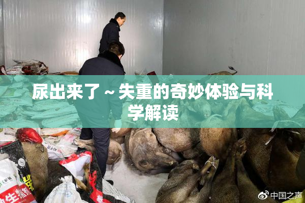 尿出来了～失重的奇妙体验与科学解读