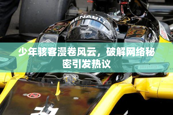 少年骇客漫卷风云，破解网络秘密引发热议