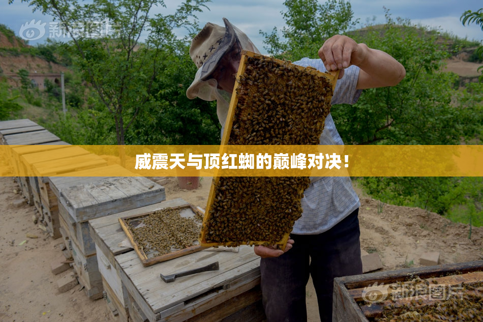 威震天与顶红蜘的巅峰对决！