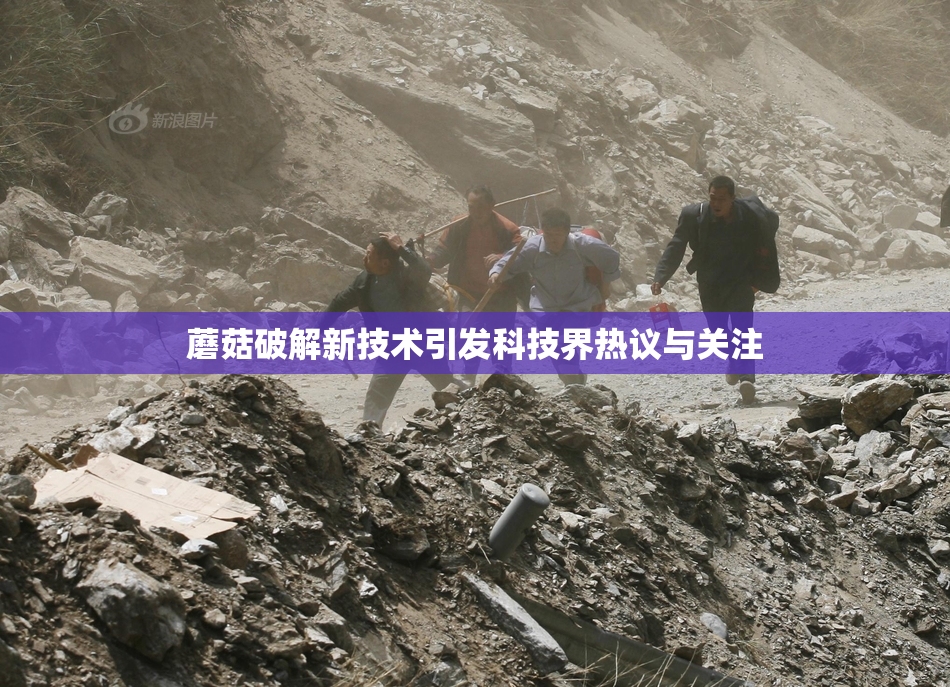 蘑菇破解新技术引发科技界热议与关注
