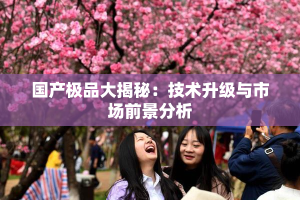 国产极品大揭秘：技术升级与市场前景分析