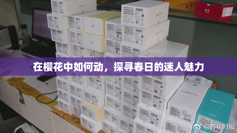 在樱花中如何动，探寻春日的迷人魅力