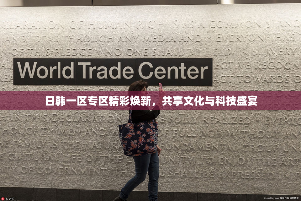 日韩一区专区精彩焕新，共享文化与科技盛宴