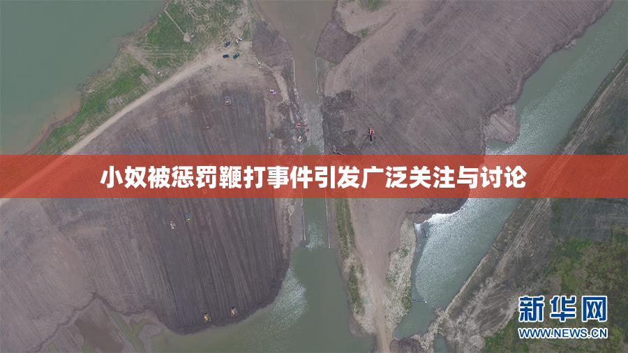 小奴被惩罚鞭打事件引发广泛关注与讨论