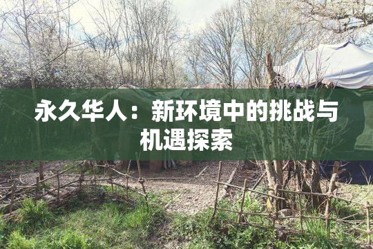 永久华人：新环境中的挑战与机遇探索