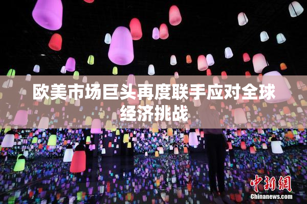 欧美市场巨头再度联手应对全球经济挑战