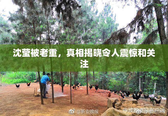 沈莹被老重，真相揭晓令人震惊和关注