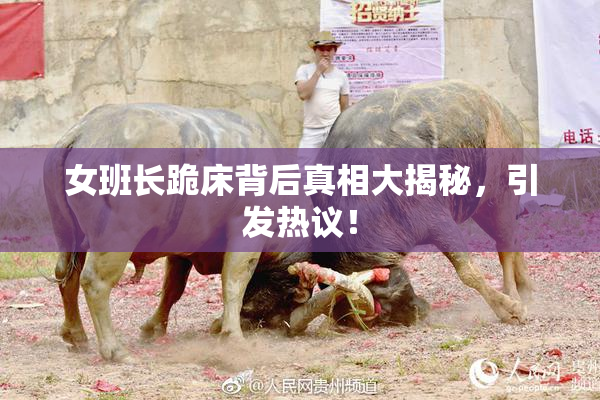 女班长跪床背后真相大揭秘，引发热议！