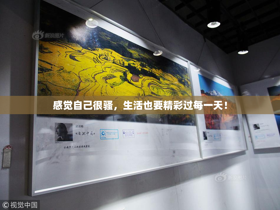 感觉自己很骚，生活也要精彩过每一天！
