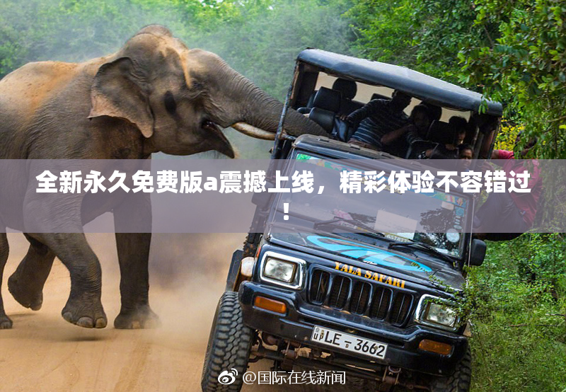 全新永久免费版a震撼上线，精彩体验不容错过！