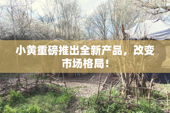 小黄重磅推出全新产品，改变市场格局！