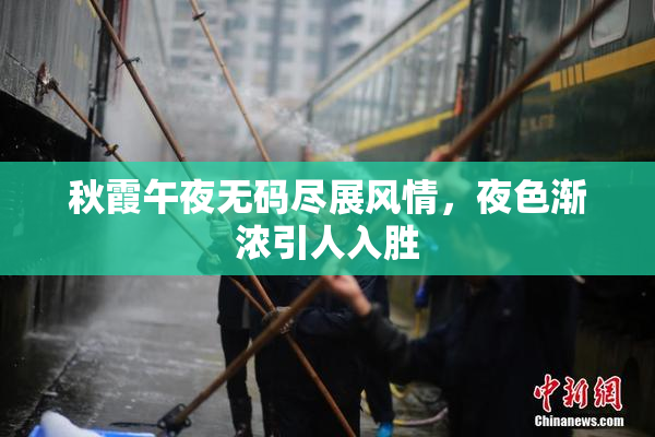 秋霞午夜无码尽展风情，夜色渐浓引人入胜