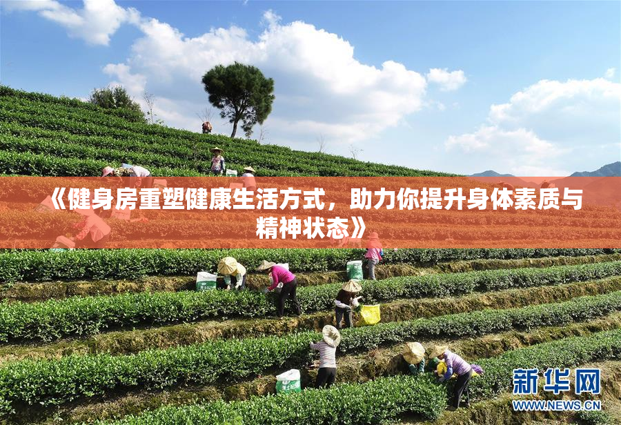 《健身房重塑健康生活方式，助力你提升身体素质与精神状态》