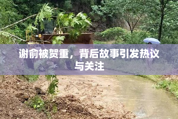 谢俞被贺重，背后故事引发热议与关注