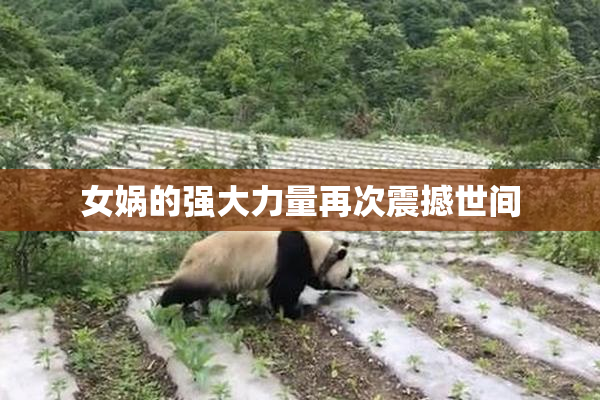 女娲的强大力量再次震撼世间