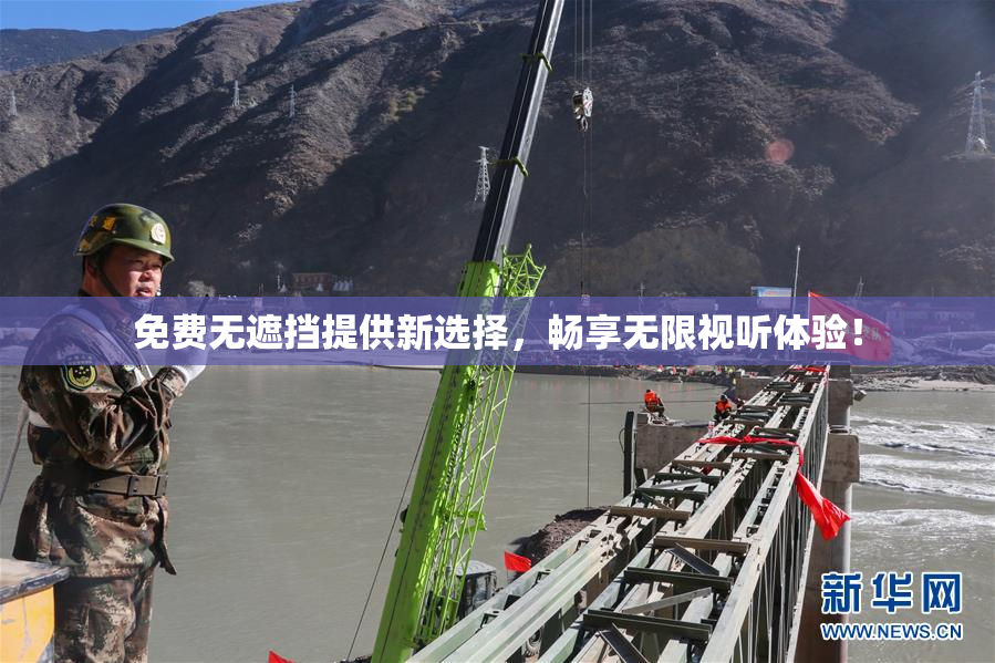 免费无遮挡提供新选择，畅享无限视听体验！