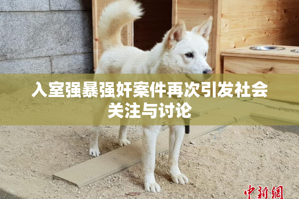 入室强暴强奸案件再次引发社会关注与讨论