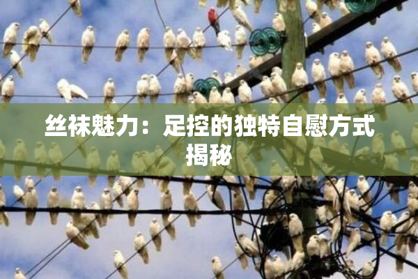 丝袜魅力：足控的独特自慰方式揭秘