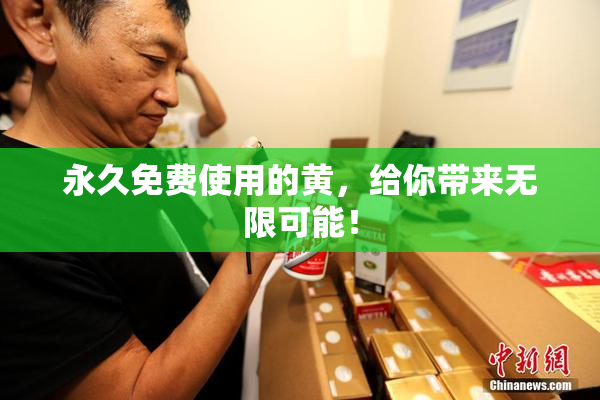 永久免费使用的黄，给你带来无限可能！