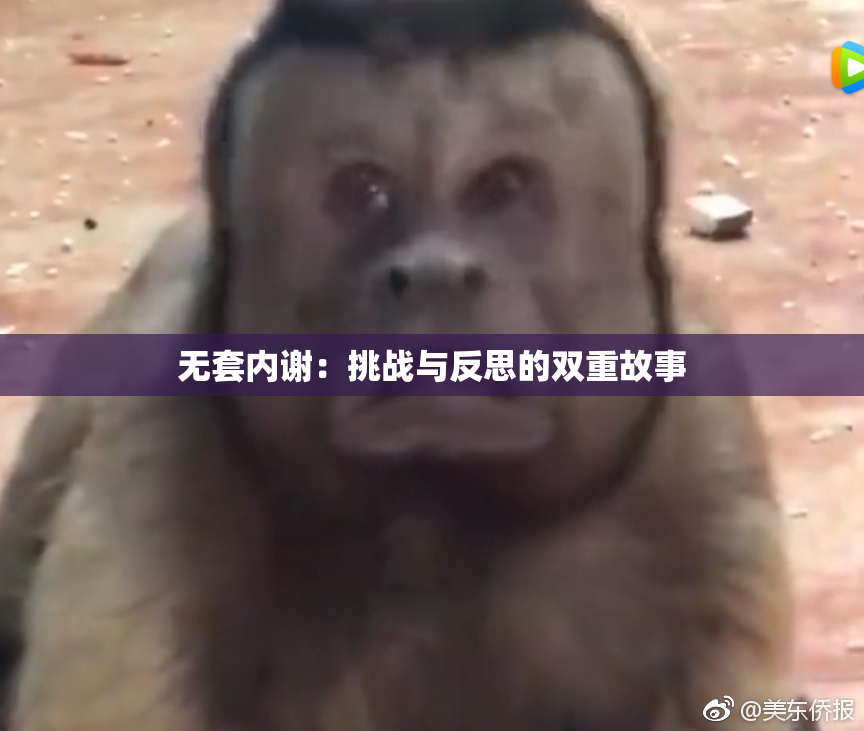 无套内谢：挑战与反思的双重故事