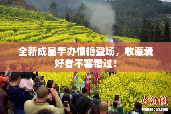 全新成品手办惊艳登场，收藏爱好者不容错过！