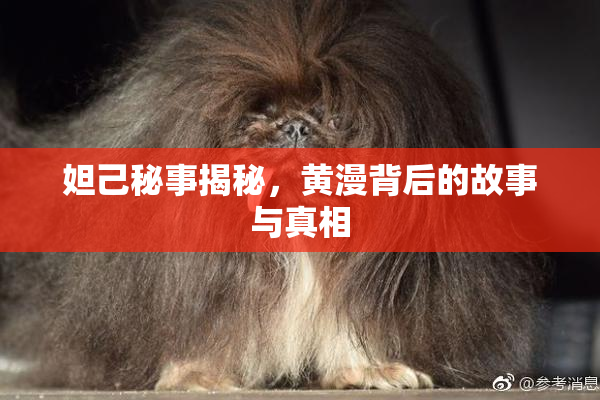 妲己秘事揭秘，黄漫背后的故事与真相