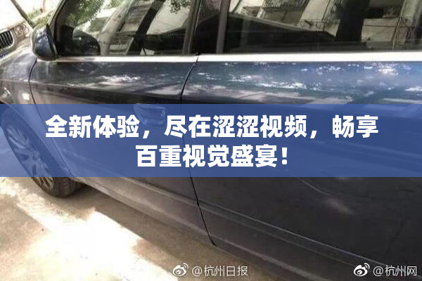全新体验，尽在涩涩视频，畅享百重视觉盛宴！