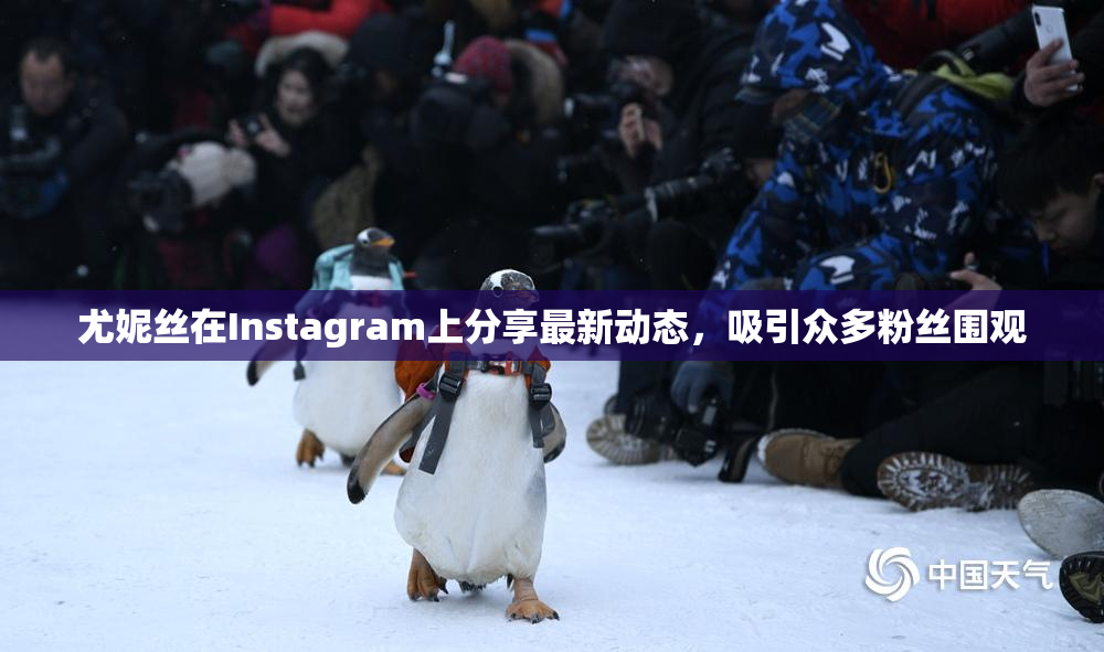 尤妮丝在Instagram上分享最新动态，吸引众多粉丝围观