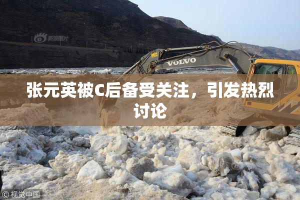 张元英被C后备受关注，引发热烈讨论