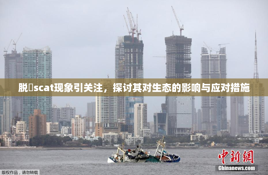 脱糞scat现象引关注，探讨其对生态的影响与应对措施