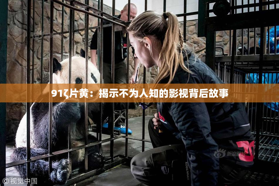 91ζ片黄：揭示不为人知的影视背后故事