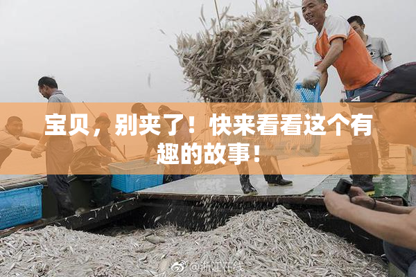 宝贝，别夹了！快来看看这个有趣的故事！