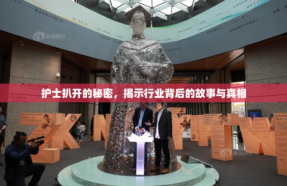 护士扒开的秘密，揭示行业背后的故事与真相