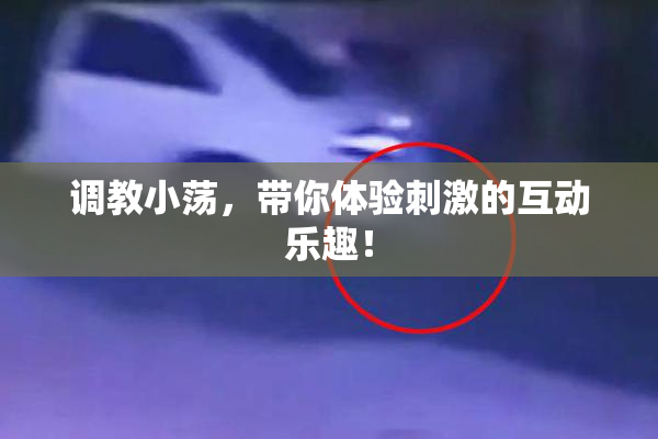 调教小荡，带你体验刺激的互动乐趣！