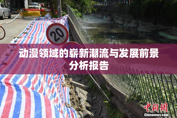 动漫领域的崭新潮流与发展前景分析报告