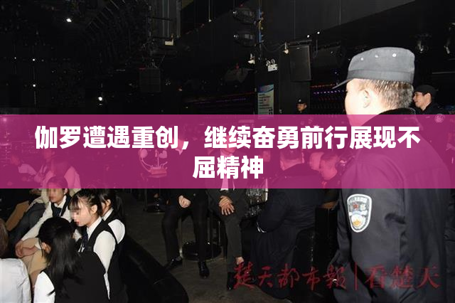 伽罗遭遇重创，继续奋勇前行展现不屈精神