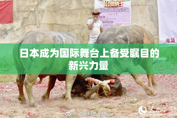 日本成为国际舞台上备受瞩目的新兴力量