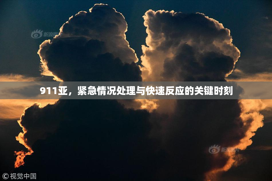 911亚，紧急情况处理与快速反应的关键时刻