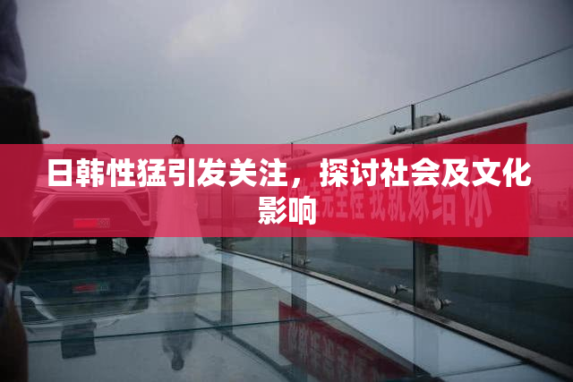 日韩性猛引发关注，探讨社会及文化影响