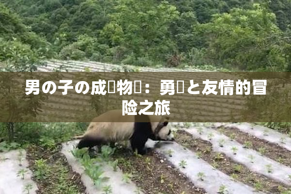男の子の成長物語：勇気と友情的冒险之旅